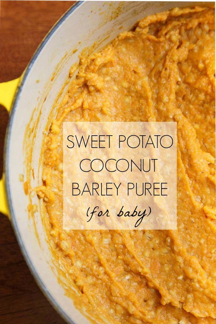 sweet potato coconut barley puree for baby is an easy and delicious recipe to make at home