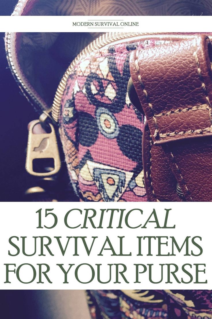 purse survival items Pinterest image Purse Survival Kit, What To Put In A Small Bag, Small Purse Essentials, 2025 Reset, Purse Essentials List, Cleaning Rota, Evacuation Bag, Storm Prep, Everyday Carry Bag