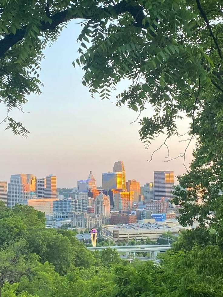 the city skyline is seen through some trees