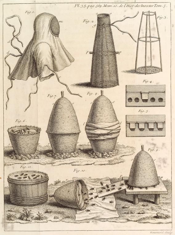 an old drawing shows different types of pottery