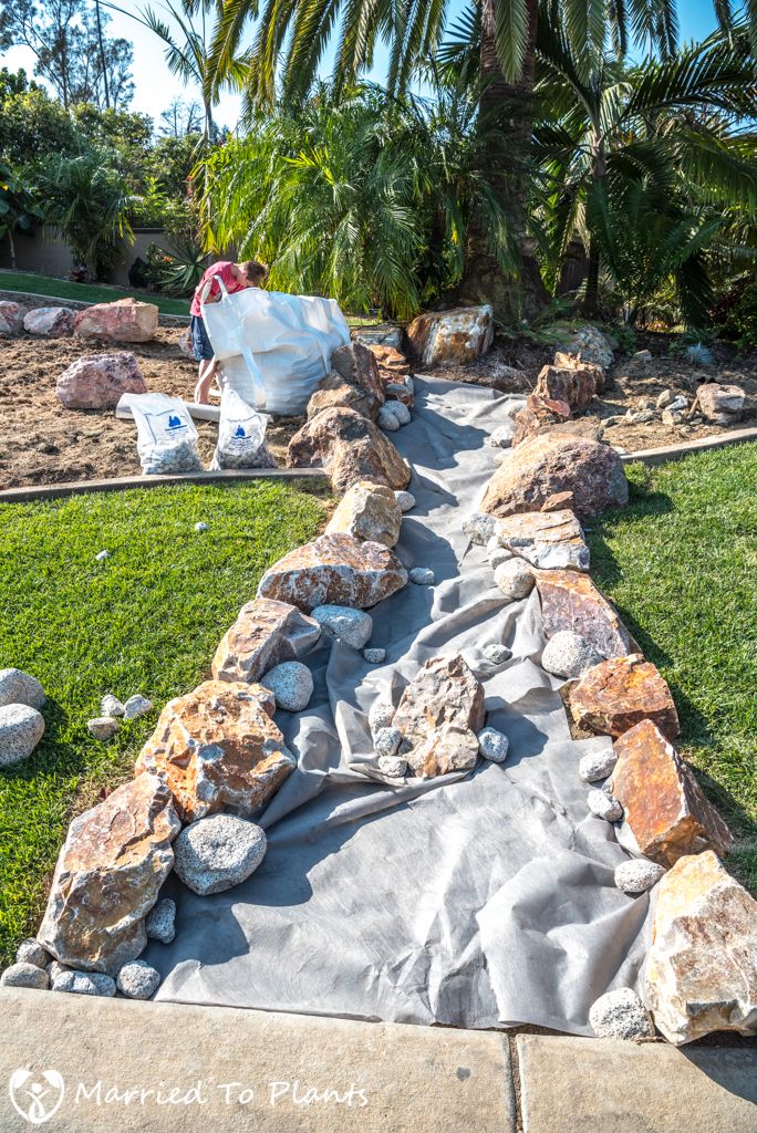 a garden with rocks and grass in the foreground, next to a palm tree