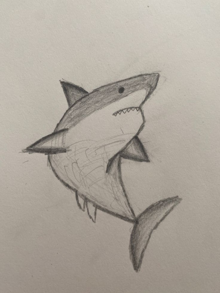 a drawing of a shark with its mouth open