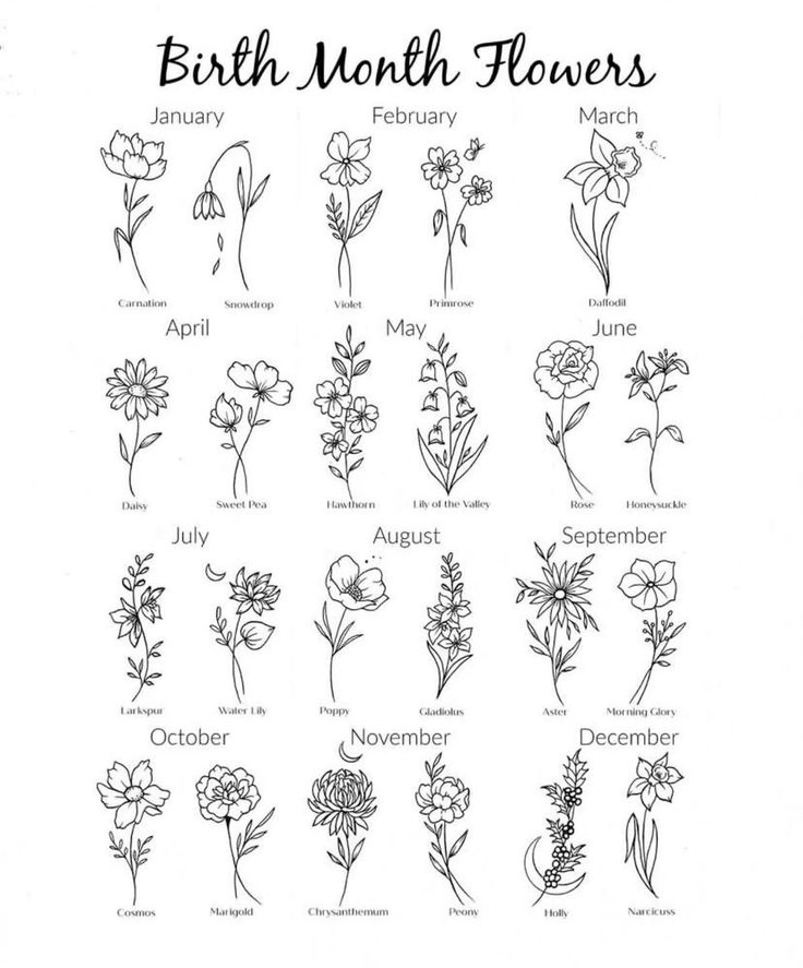 the birth month flowers are shown in black and white, with an image of each flower