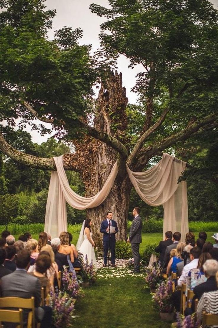 a couple getting married in front of an outdoor wedding ceremony with drapes draped over the trees