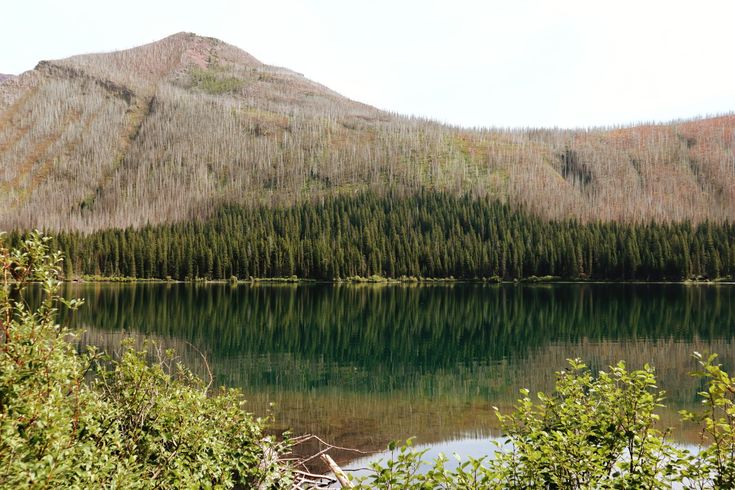 a lake surrounded by trees and mountains