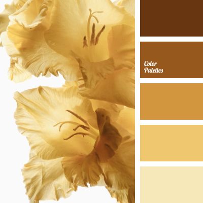 two yellow flowers are in the center of this color scheme with brown and beige tones