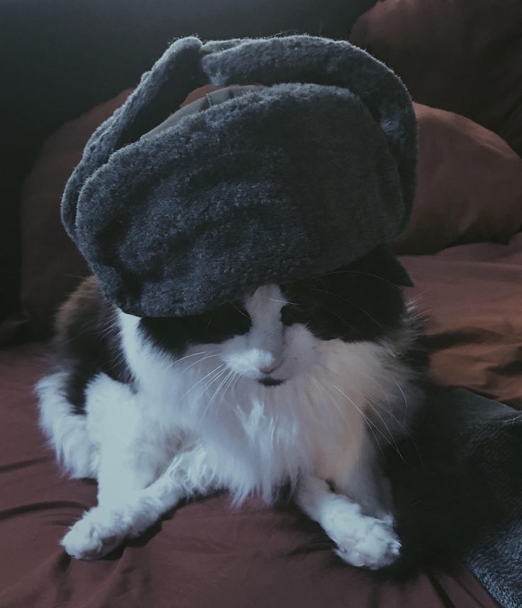 a black and white cat with a hat on it's head sitting on a bed