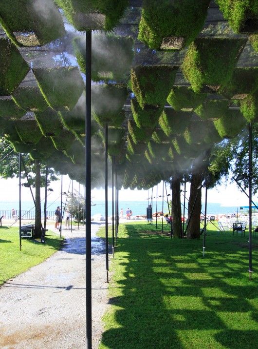 an outdoor area with grass, trees and benches