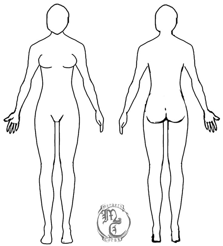 an outline drawing of a female and male body