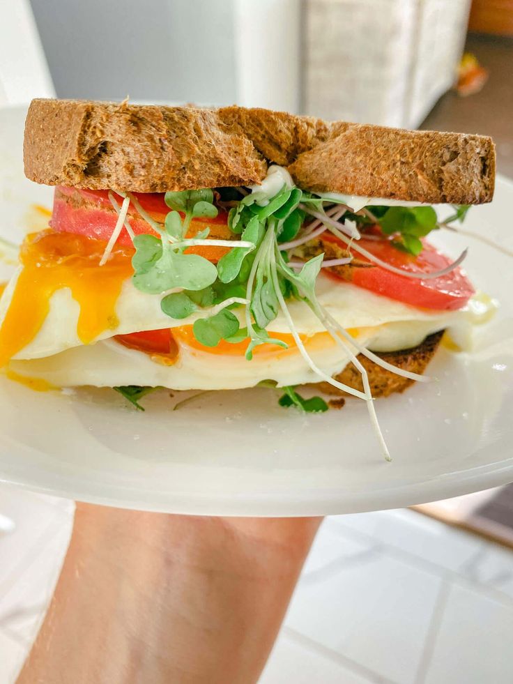 a person holding a plate with a sandwich on it