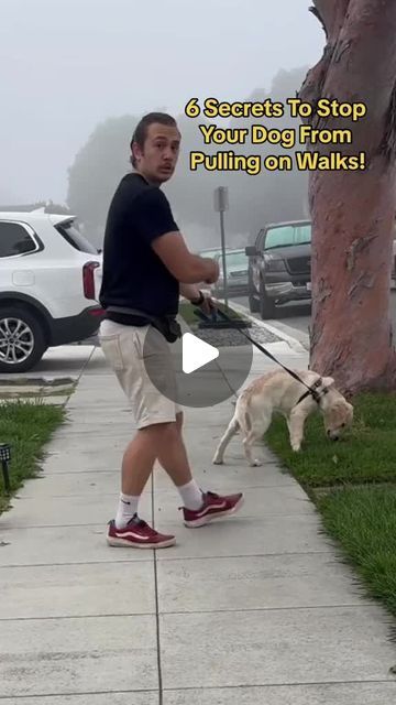 a man walking his dog on a leash down a sidewalk with the caption, 6 secrets to stop your dog from pulling on walks