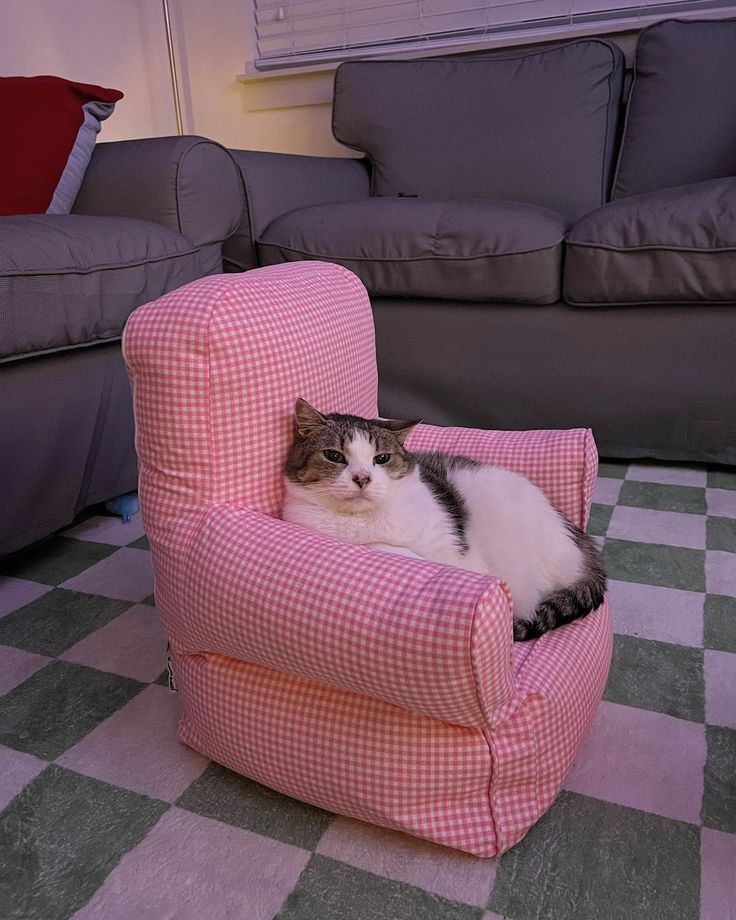 a cat is sitting in a pink chair on the checkered carpeted living room floor