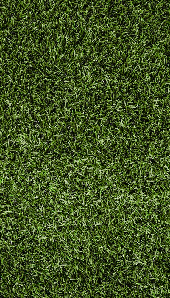 green grass textured as a background photo