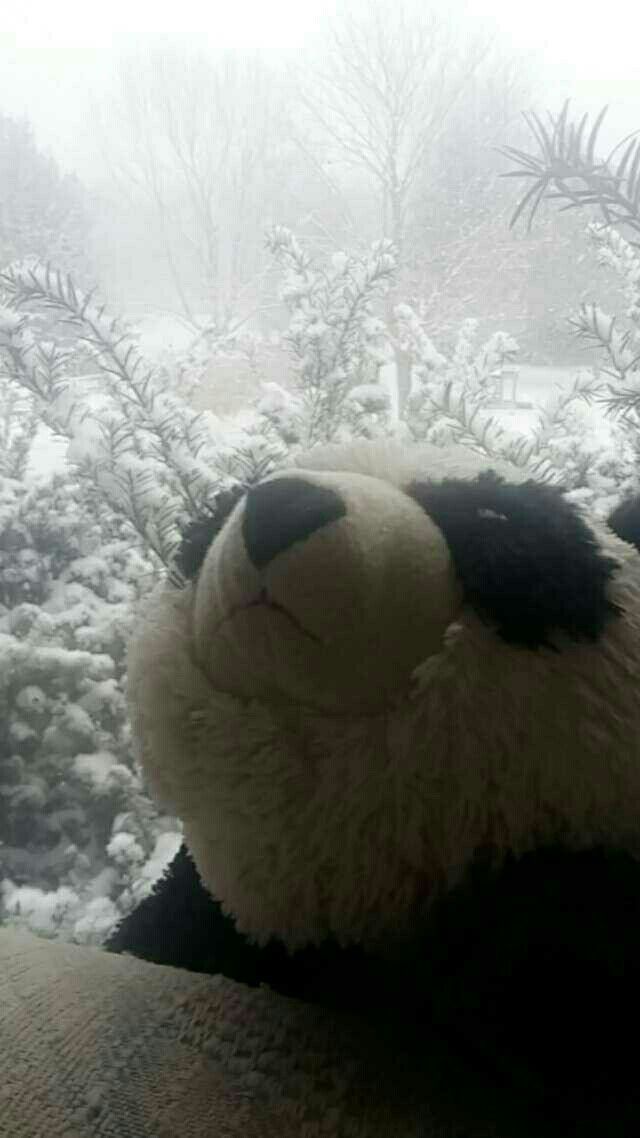 a stuffed animal is sitting in the snow