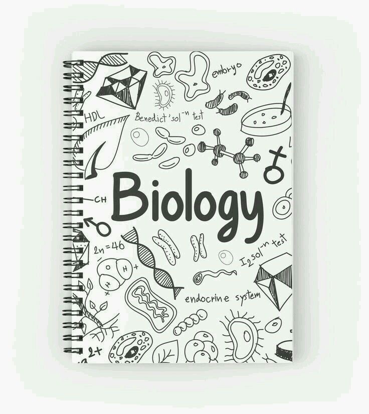 a spiral notebook with the words biology written in black and white doodles on it