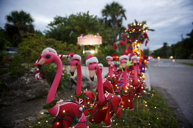 pink flamingos are lined up in santa hats and lights on the grass near a street