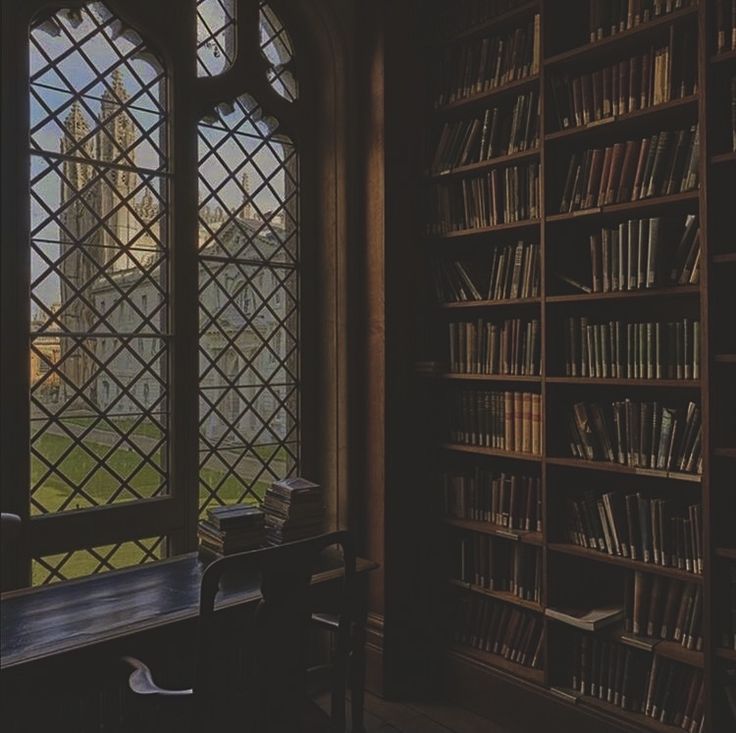 an old library with many bookshelves and large windows that look out onto a grassy field