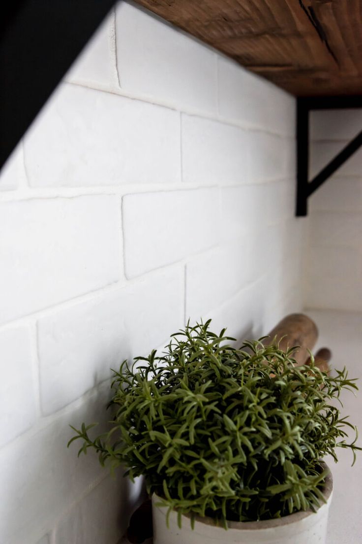 a potted plant sitting on top of a white counter next to a wooden shelf