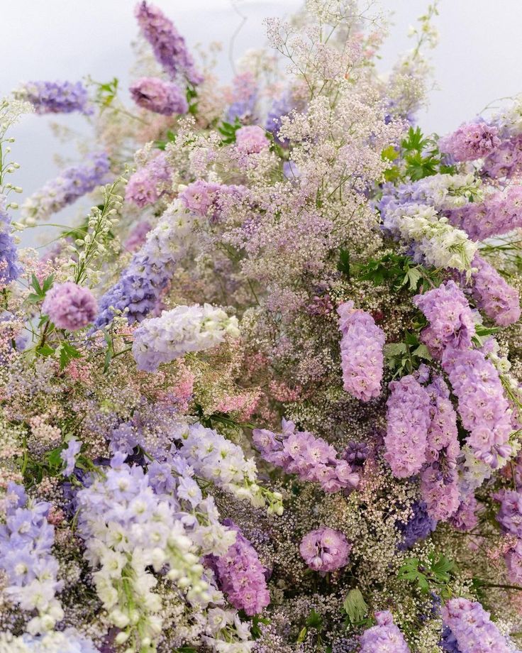 a bunch of purple and white flowers on display