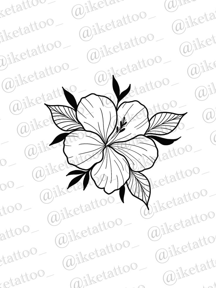 a black and white flower on a white background