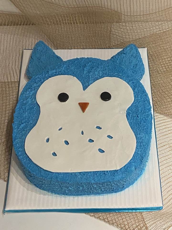 a blue and white owl cake sitting on top of a cardboard box next to a brown table cloth