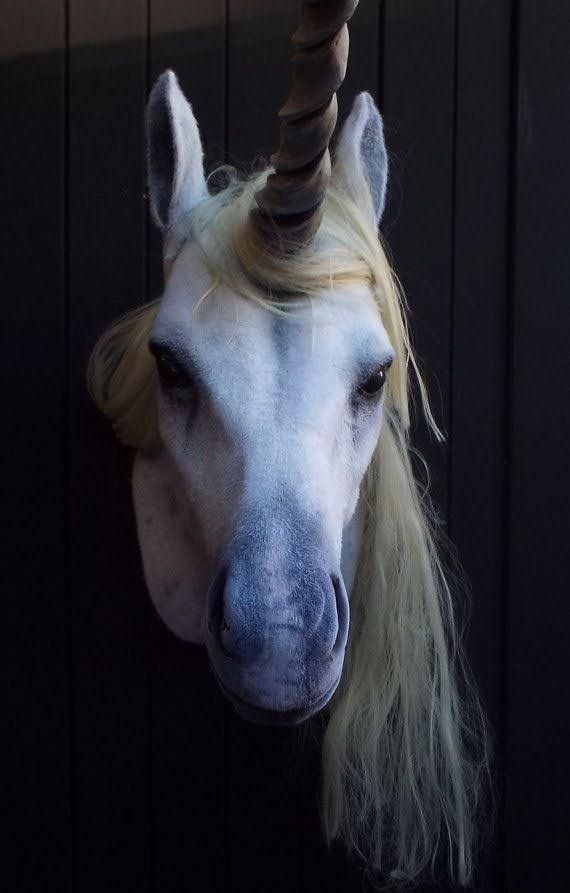 a white horse with long blonde hair and a horn on it's head is standing in front of a black wall