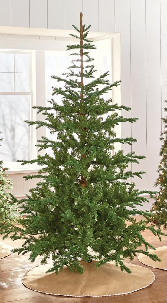 a small green christmas tree sitting on top of a wooden table next to a window