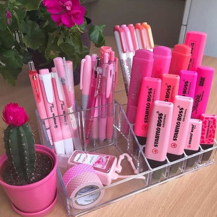 there are many different pens and pencils in the holder on the table next to a potted plant