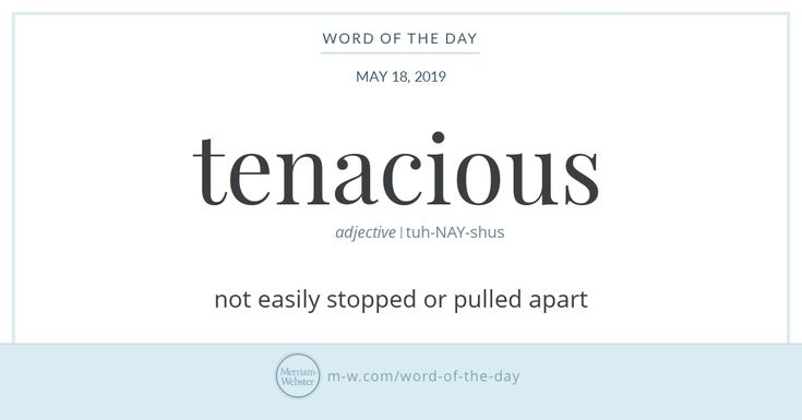 the word tenaciousus is written in black on a white background with blue border