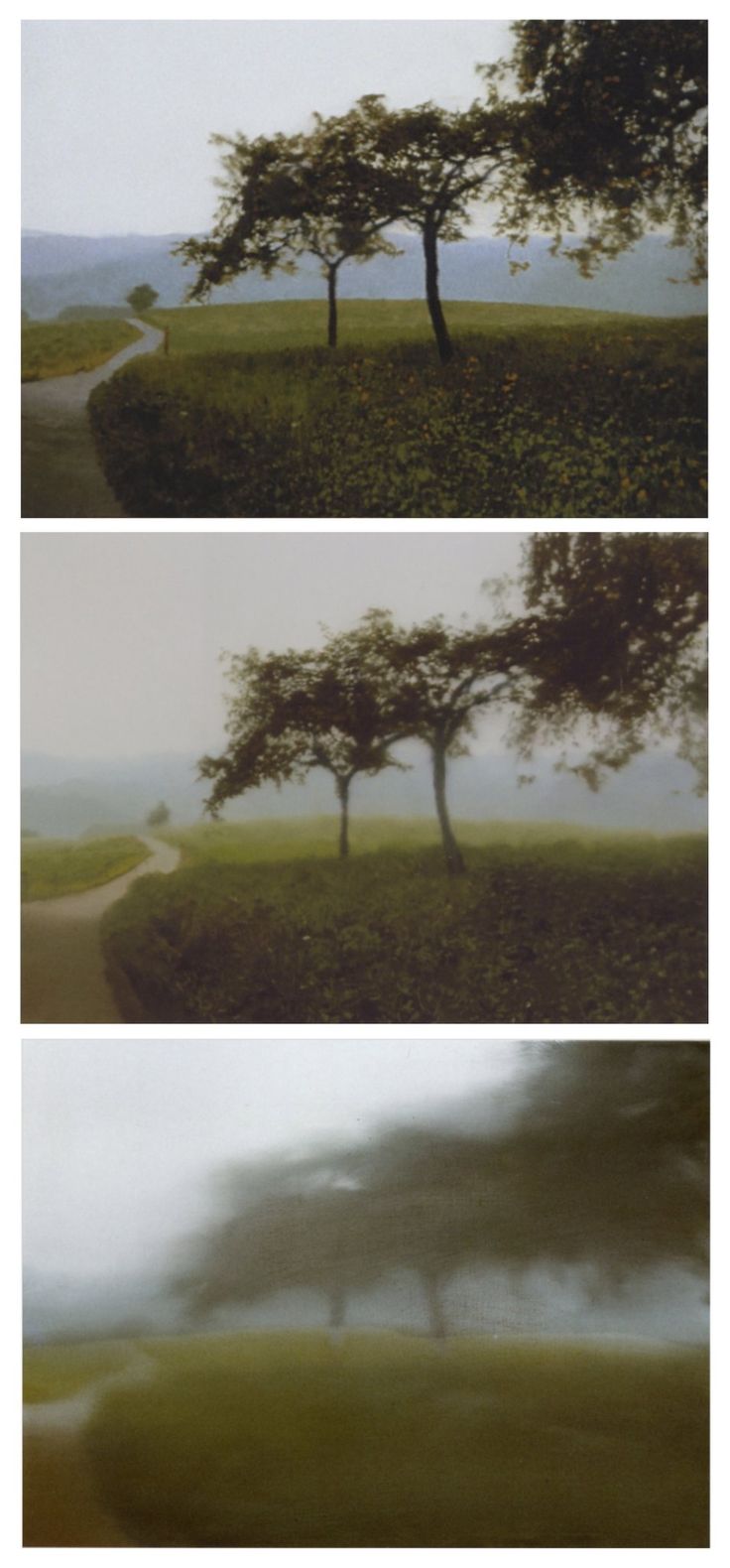 three different shots of trees in the middle of a grassy field with a path leading to them