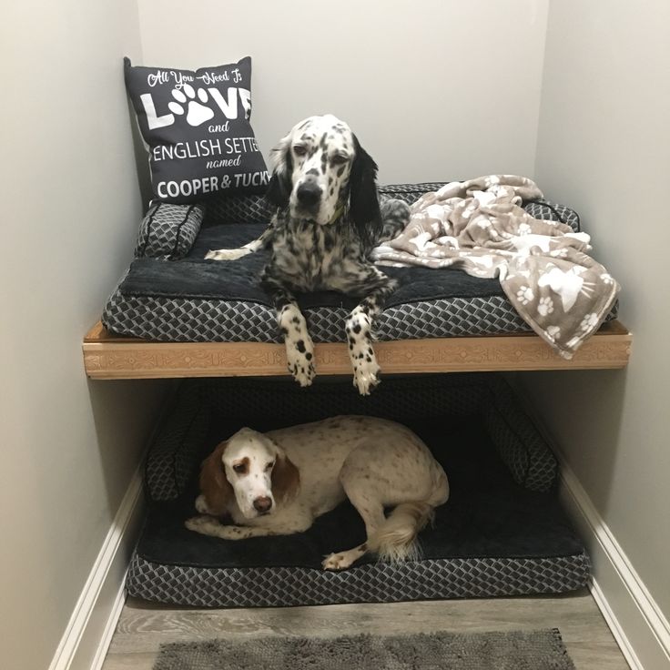 two dogs laying on top of a dog bed