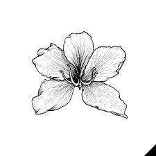 a black and white drawing of a flower