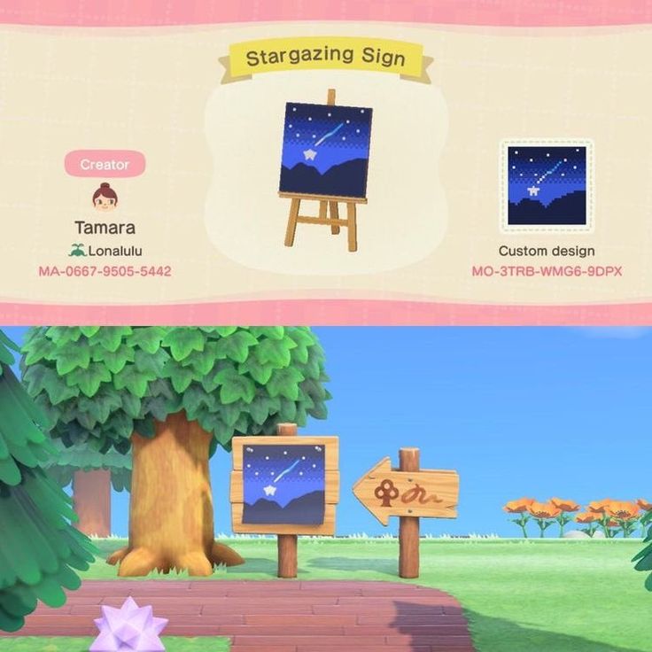 an animal crossing game screen showing the start and ending stages for stargazing sign