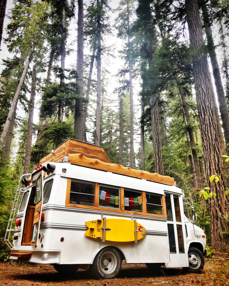 a white and yellow bus parked in the woods