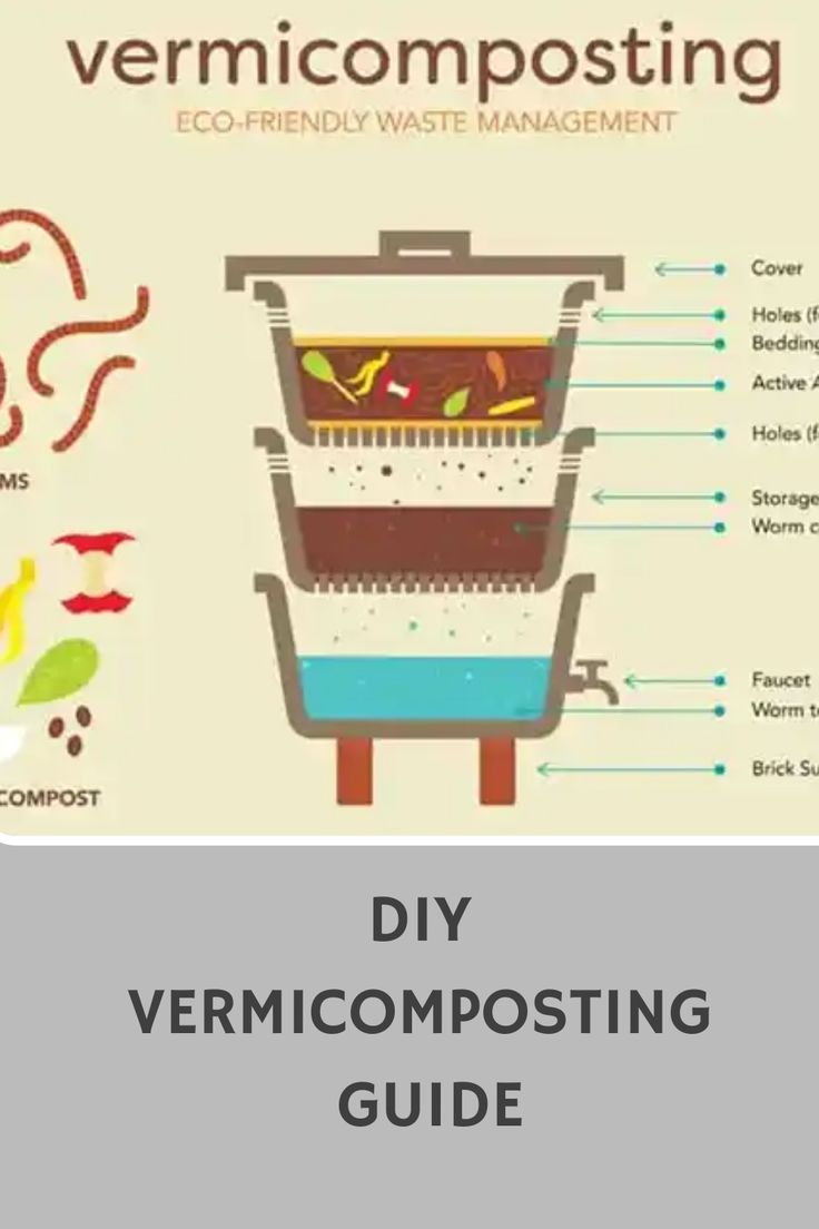 the vermicomposting guide is shown in this graphic above it's description