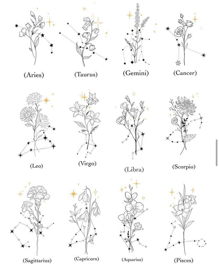 the zodiac signs and their flowers