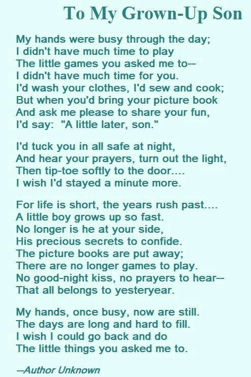 the poem to my grown up son