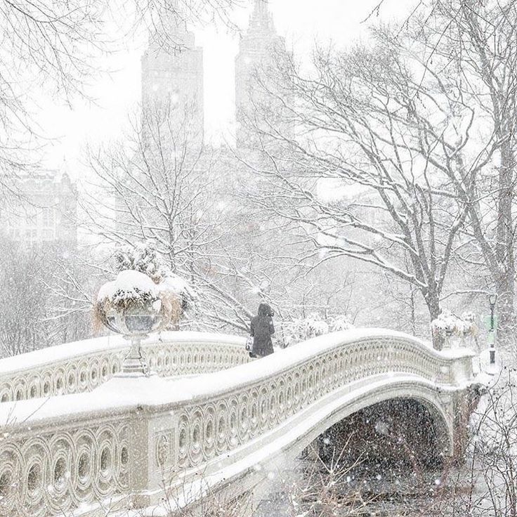 a person standing on a bridge in the snow