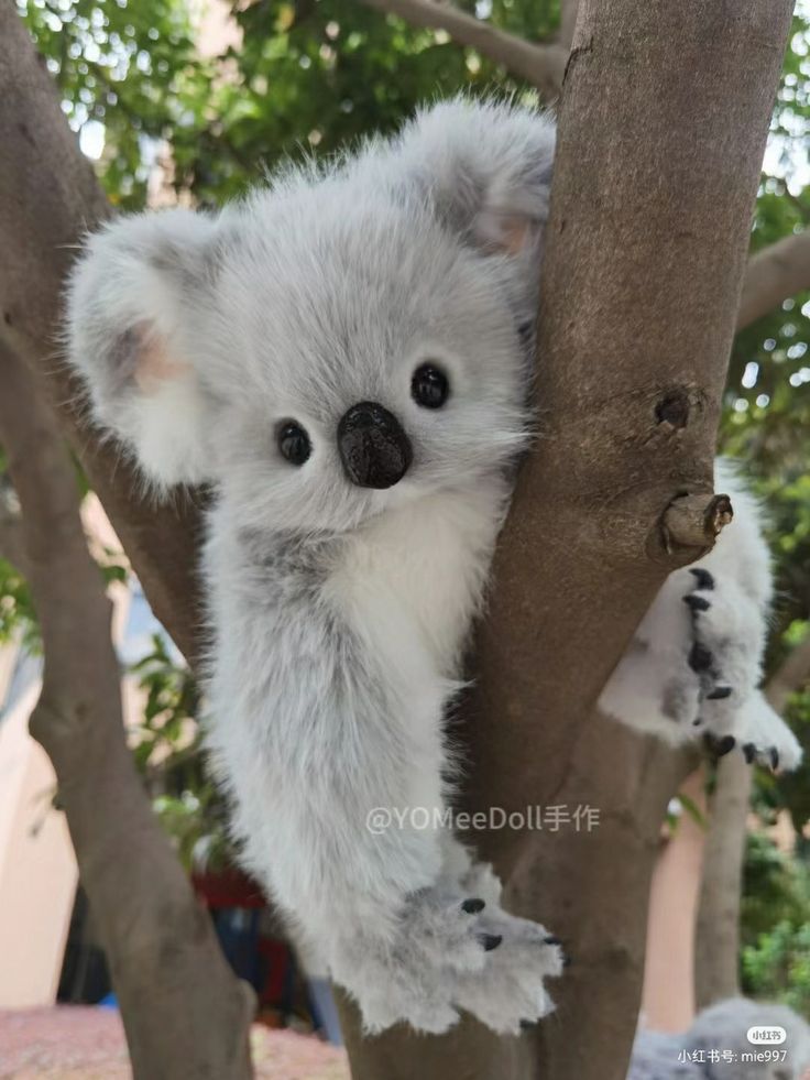 a stuffed koala bear sitting in a tree