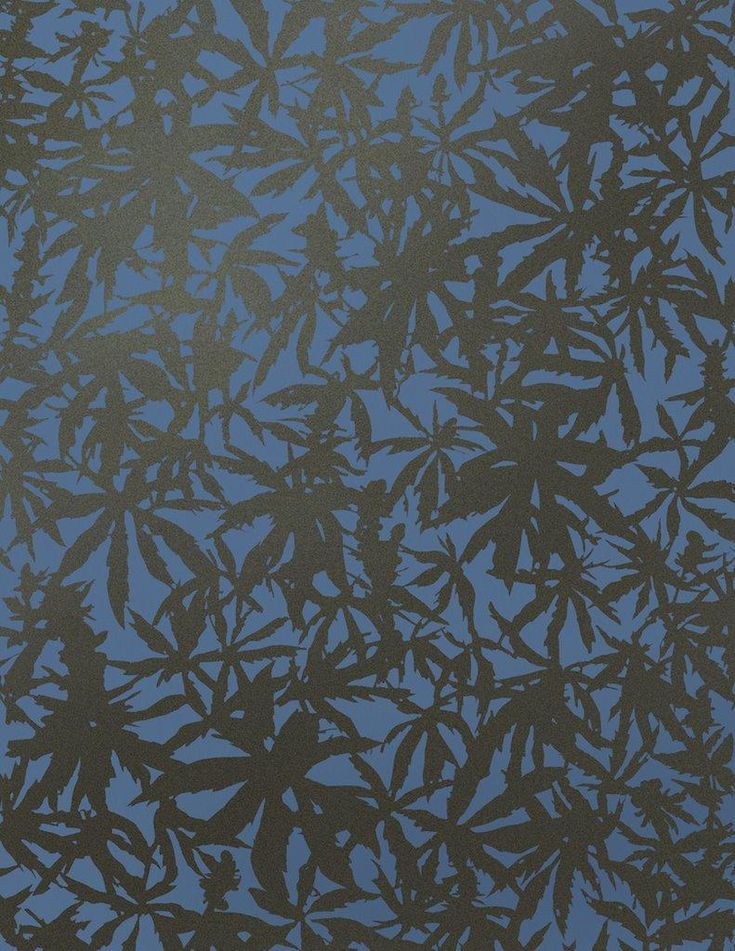 an abstract photo of leaves against a blue sky