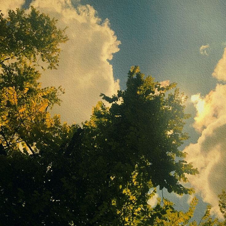 the sun shines through the clouds and leaves in the treetops as seen from below