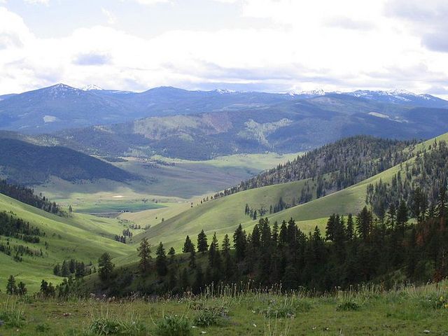 the mountains are covered in green grass and trees