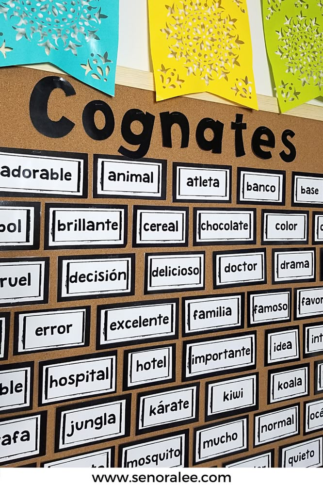 the word cognites is written on a bulletin board