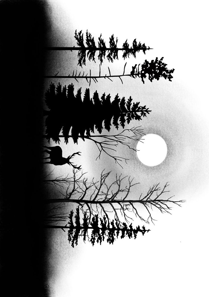 black and white photograph of trees with the sun in the background