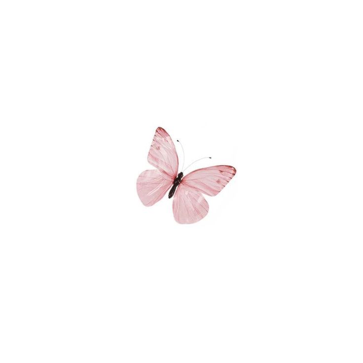 a pink butterfly flying through the air