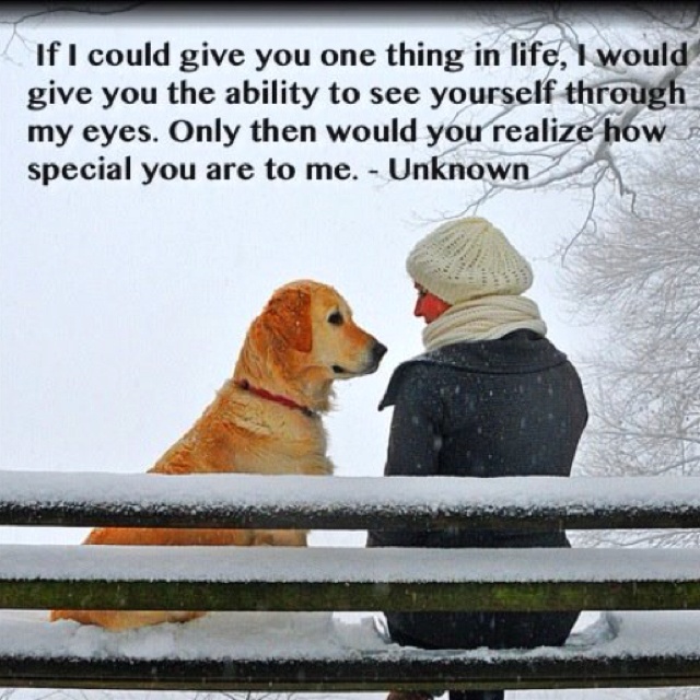 a person sitting on a bench with a dog in front of them and the caption reads, la more cheese alla vita cosa middon? la vita rispose un cane un cane da amare