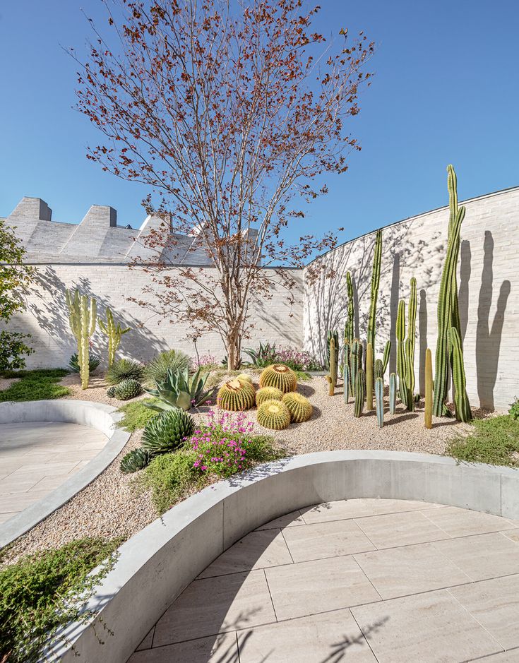 an outdoor garden with cacti and succulents on the side of a building