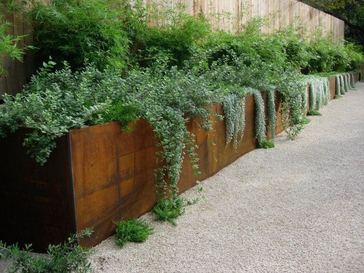 a wooden fence with plants growing on it