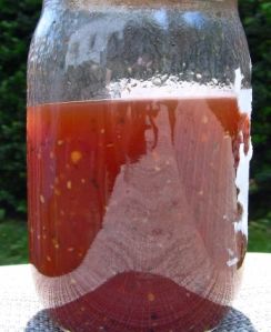 a jar filled with liquid sitting on top of a table