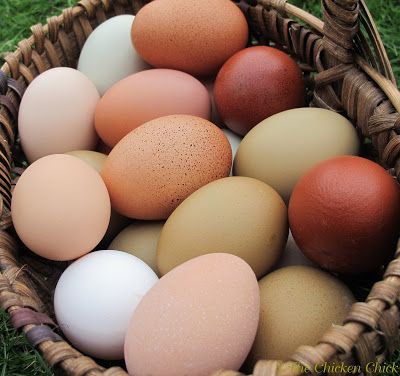 a basket filled with lots of different colored eggs